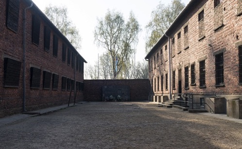Auschwitz _g1i1